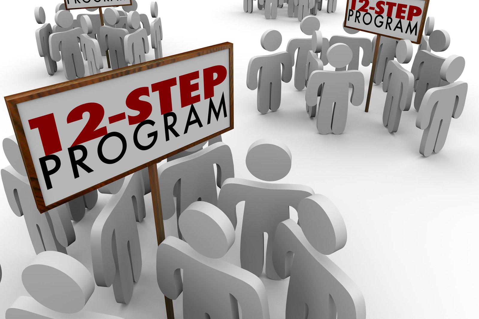 12 Steps of 12 Step Programs